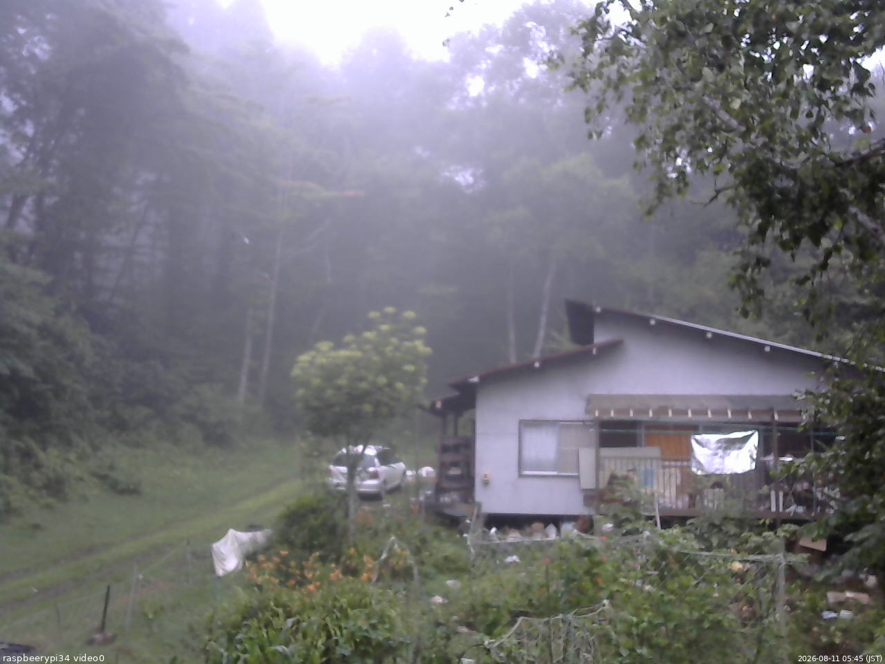長野県菅平高原 ゆたか山荘 西側(坂上) 2026/08/11 05:45