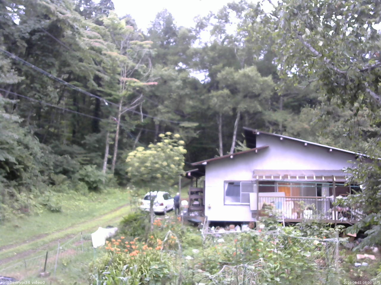 長野県菅平高原 ゆたか山荘 西側(坂上) 2026/08/11 08:00