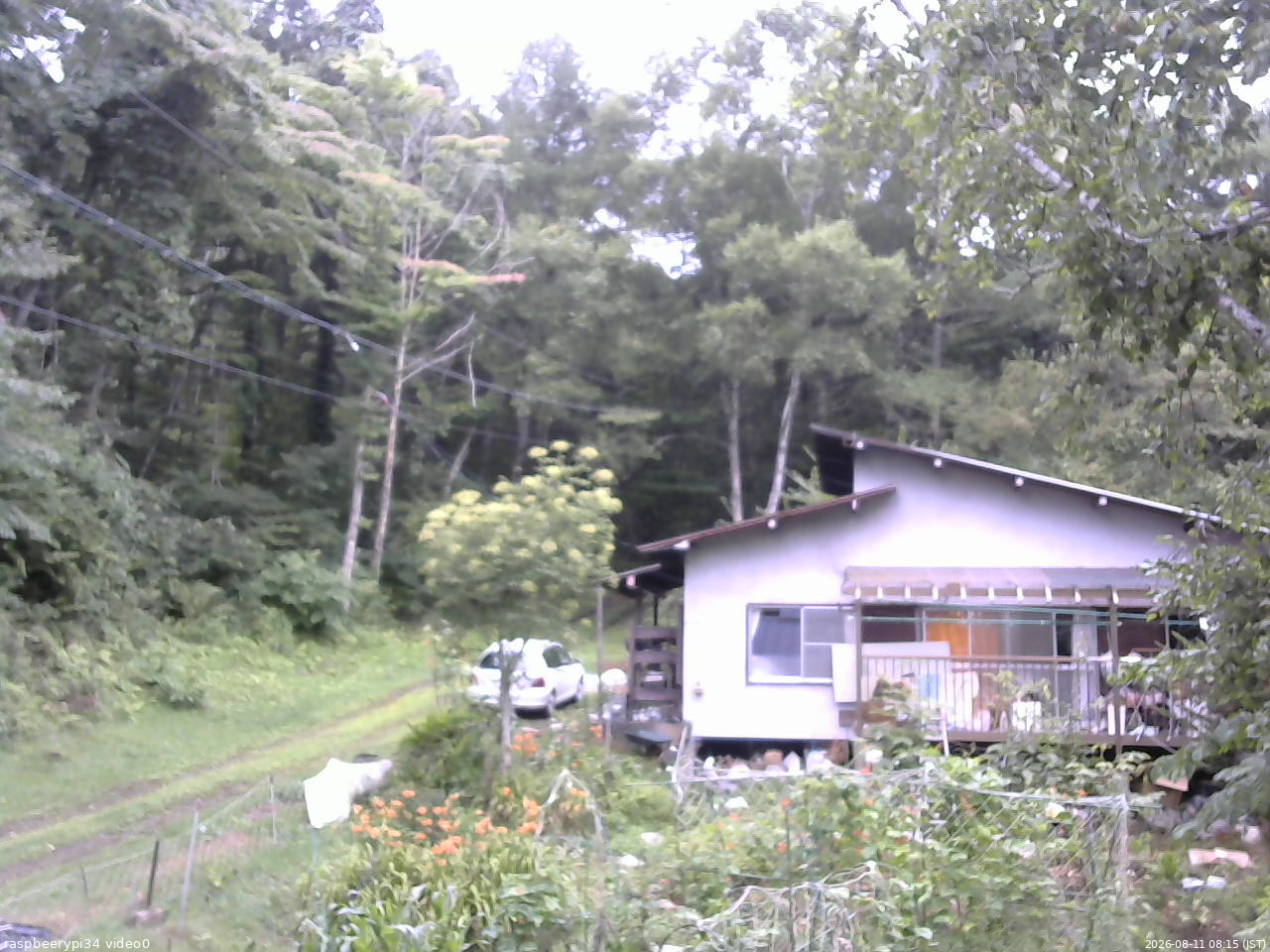 長野県菅平高原 ゆたか山荘 西側(坂上) 2026/08/11 08:15