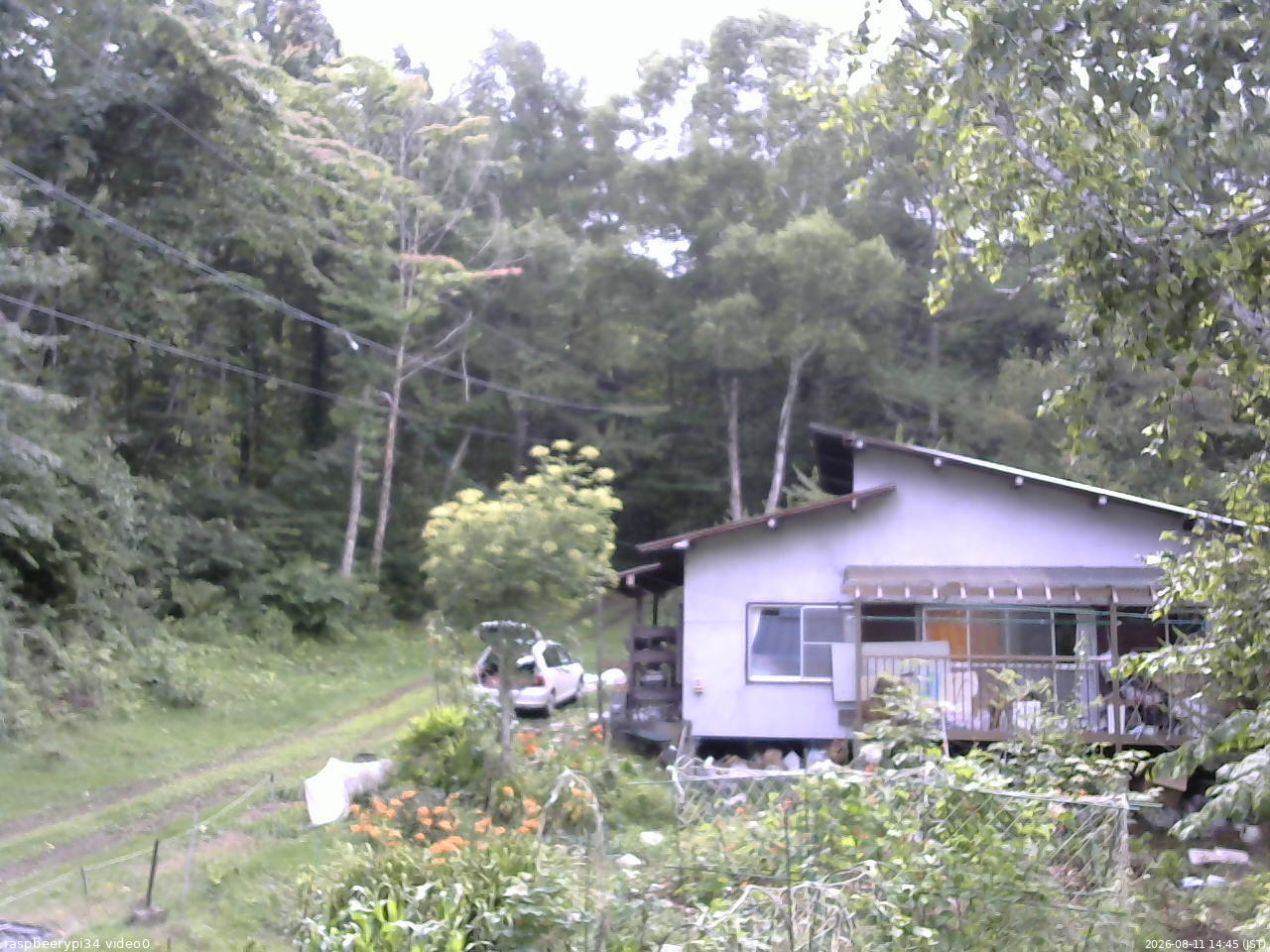 長野県菅平高原 ゆたか山荘 西側(坂上) 2026/08/11 14:45