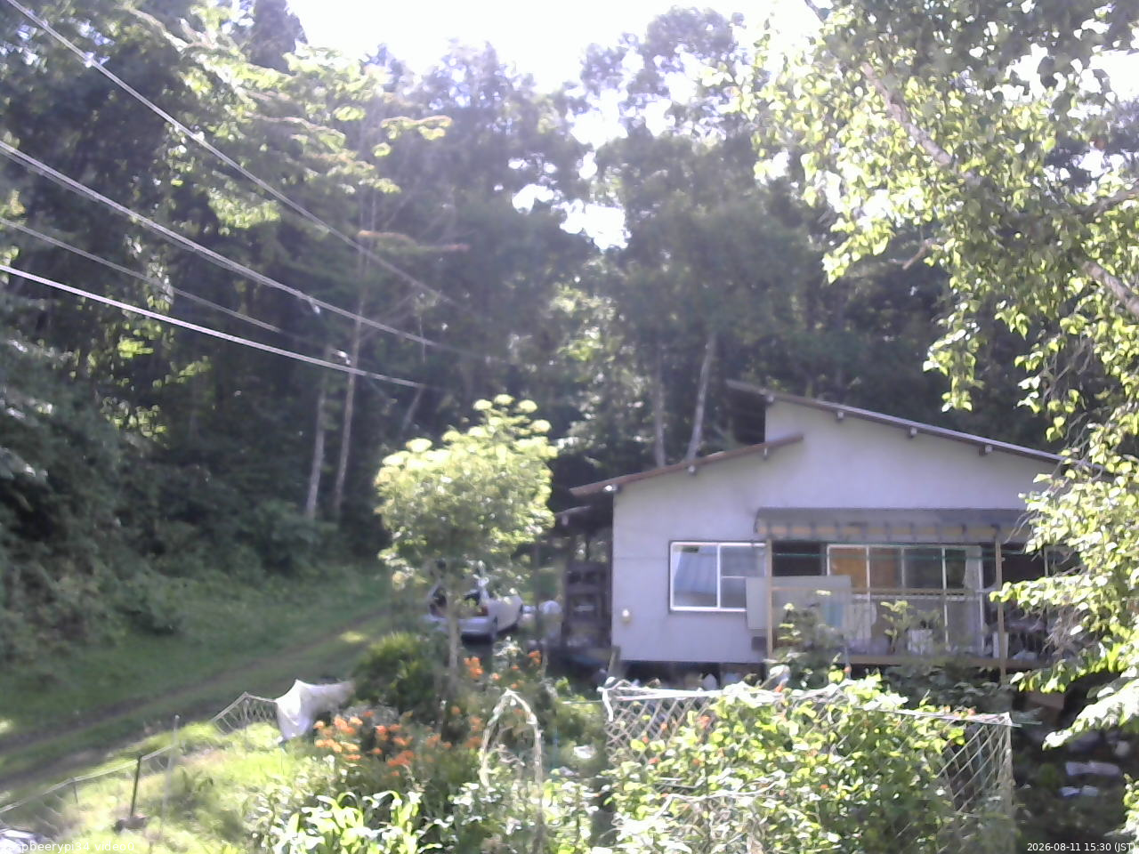 長野県菅平高原 ゆたか山荘 西側(坂上) 2026/08/11 15:30