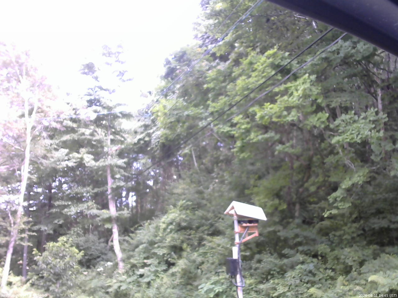 長野県菅平高原 ゆたか山荘 温度計 2026/08/11 14:45