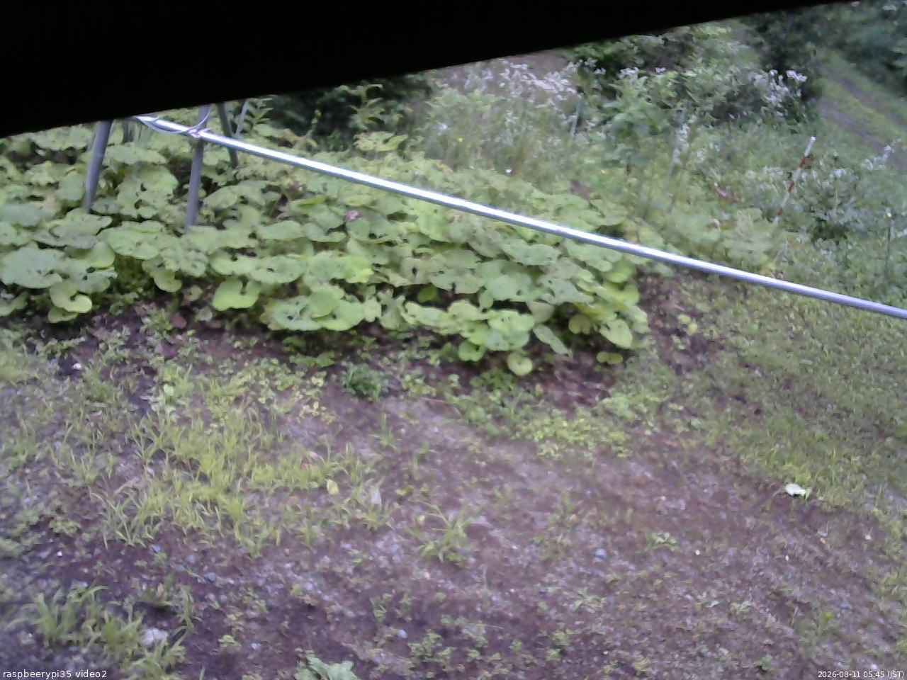 長野県菅平高原 ゆたか山荘 駐車場 2026/08/11 05:45