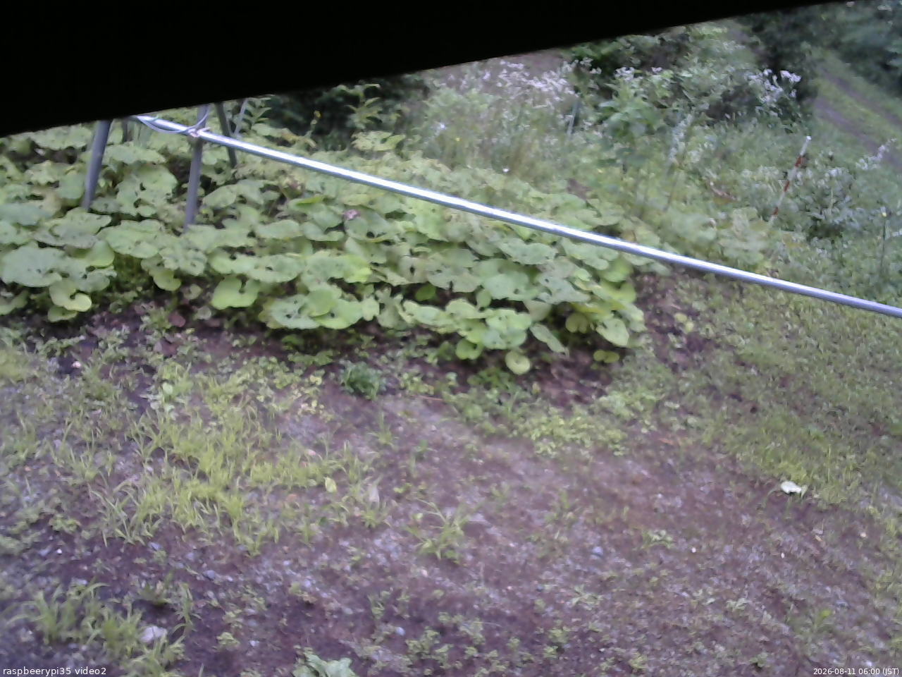 長野県菅平高原 ゆたか山荘 駐車場 2026/08/11 06:00