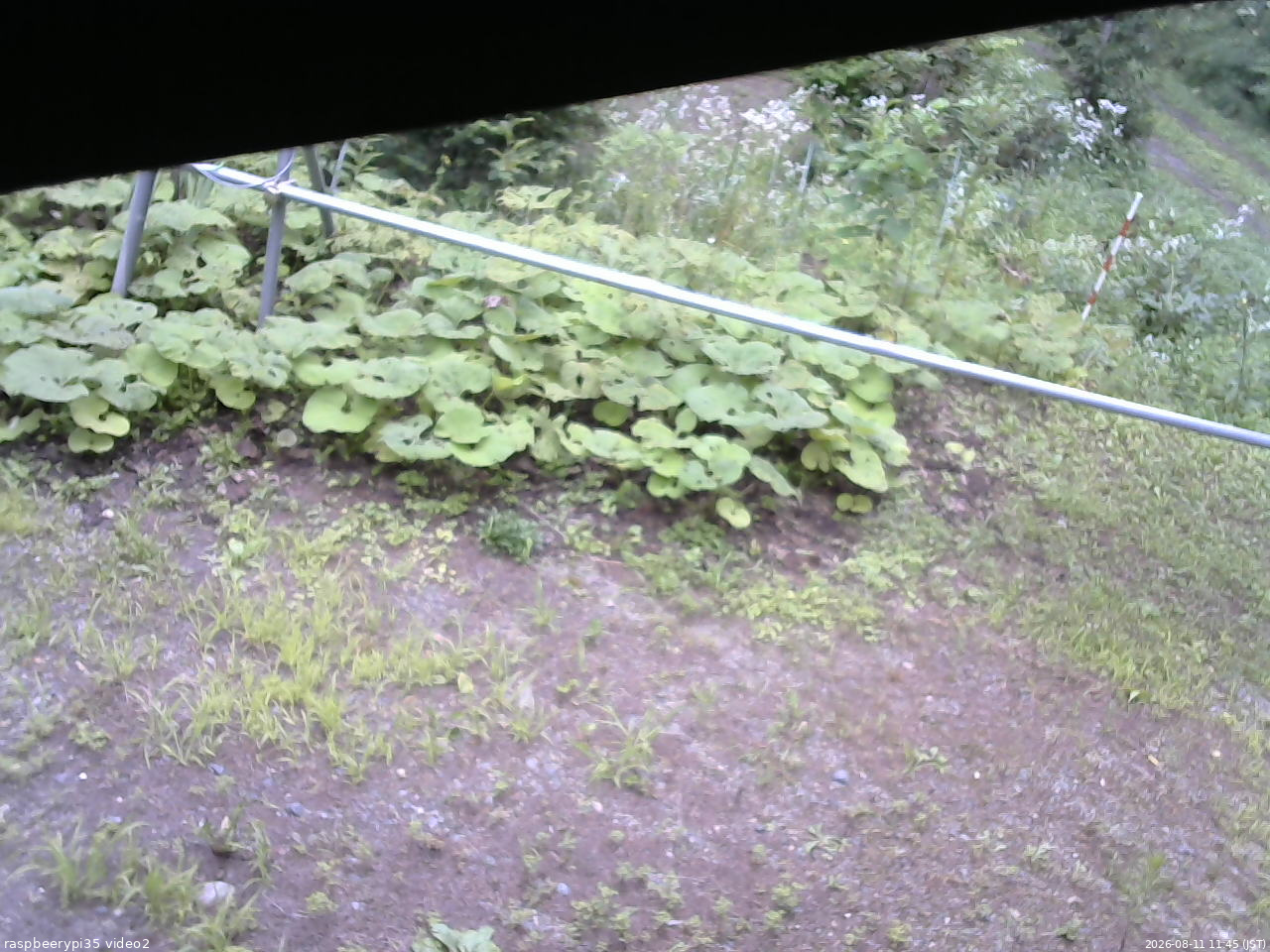長野県菅平高原 ゆたか山荘 駐車場 2026/08/11 11:45