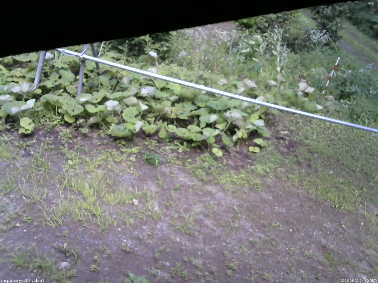 長野県菅平高原 ゆたか山荘 駐車場 2026/08/11 14:30