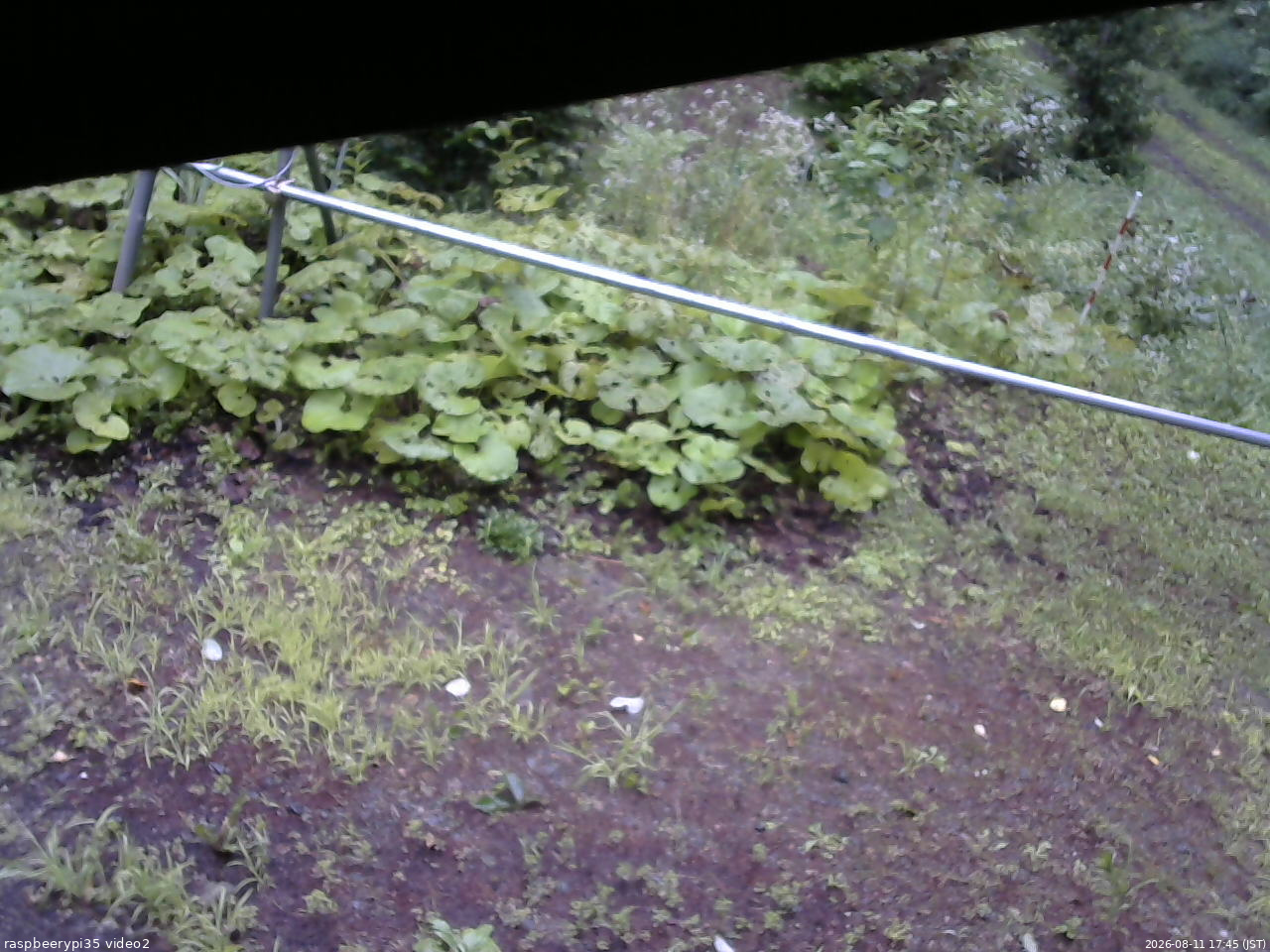 長野県菅平高原 ゆたか山荘 駐車場 2026/08/11 17:45