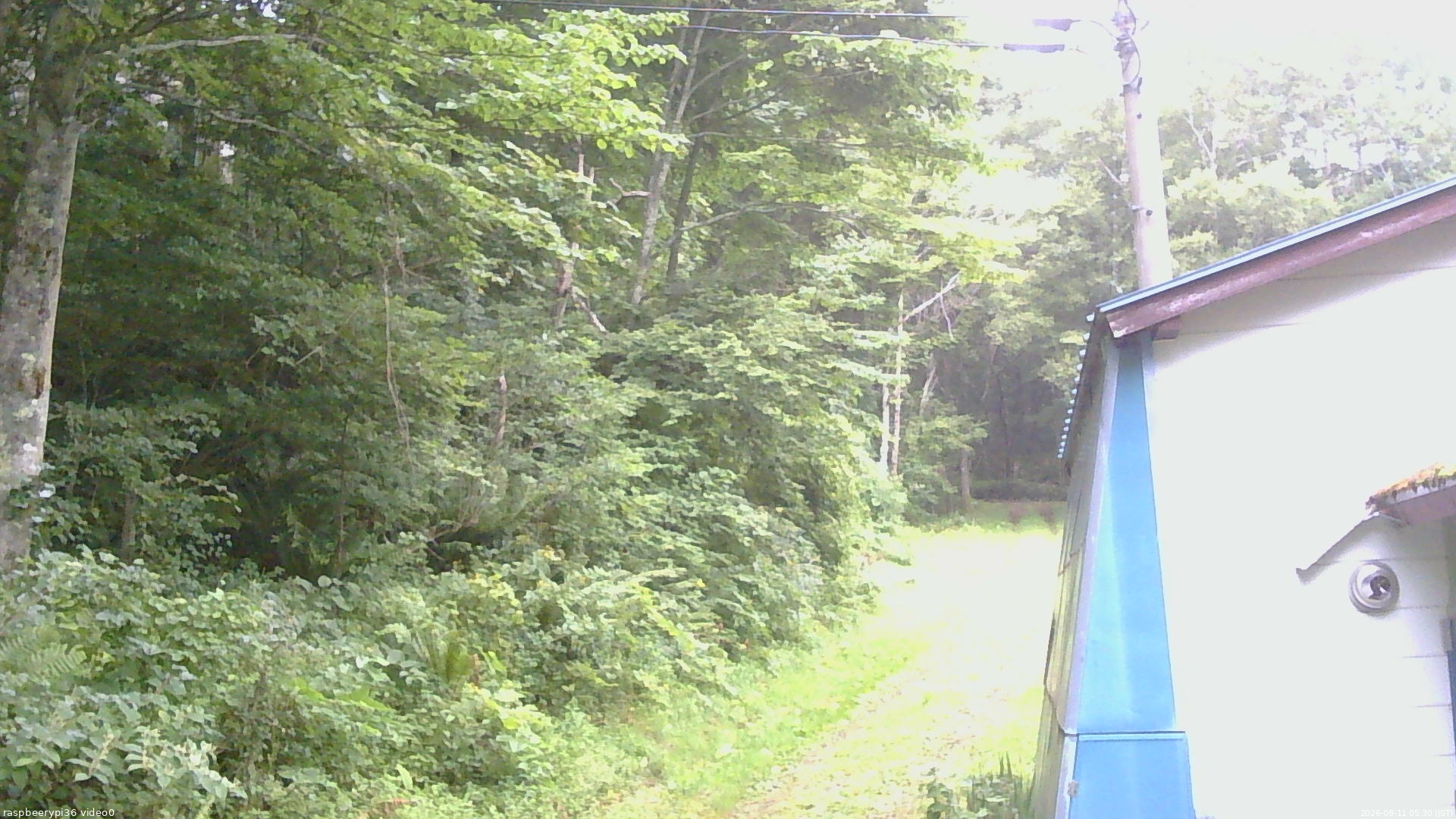 長野県菅平高原 ゆたか山荘 ゆたか山荘 2026/08/11 05:30