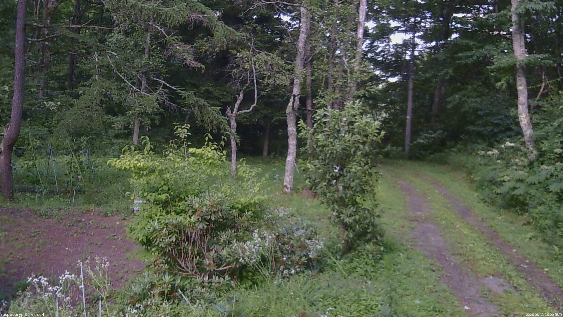 長野県菅平高原 ゆたか山荘 坂上 2026/08/11 16:00