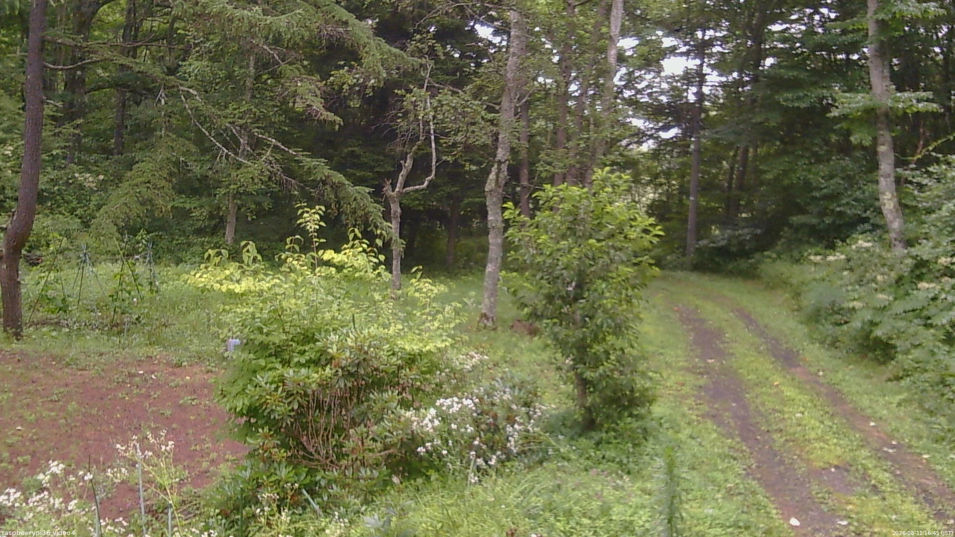 長野県菅平高原 ゆたか山荘 坂上 2026/08/11 16:45