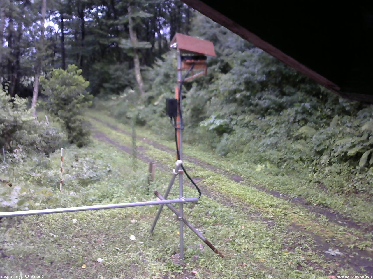長野県菅平高原 ゆたか山荘 南側 2026/08/12 05:30