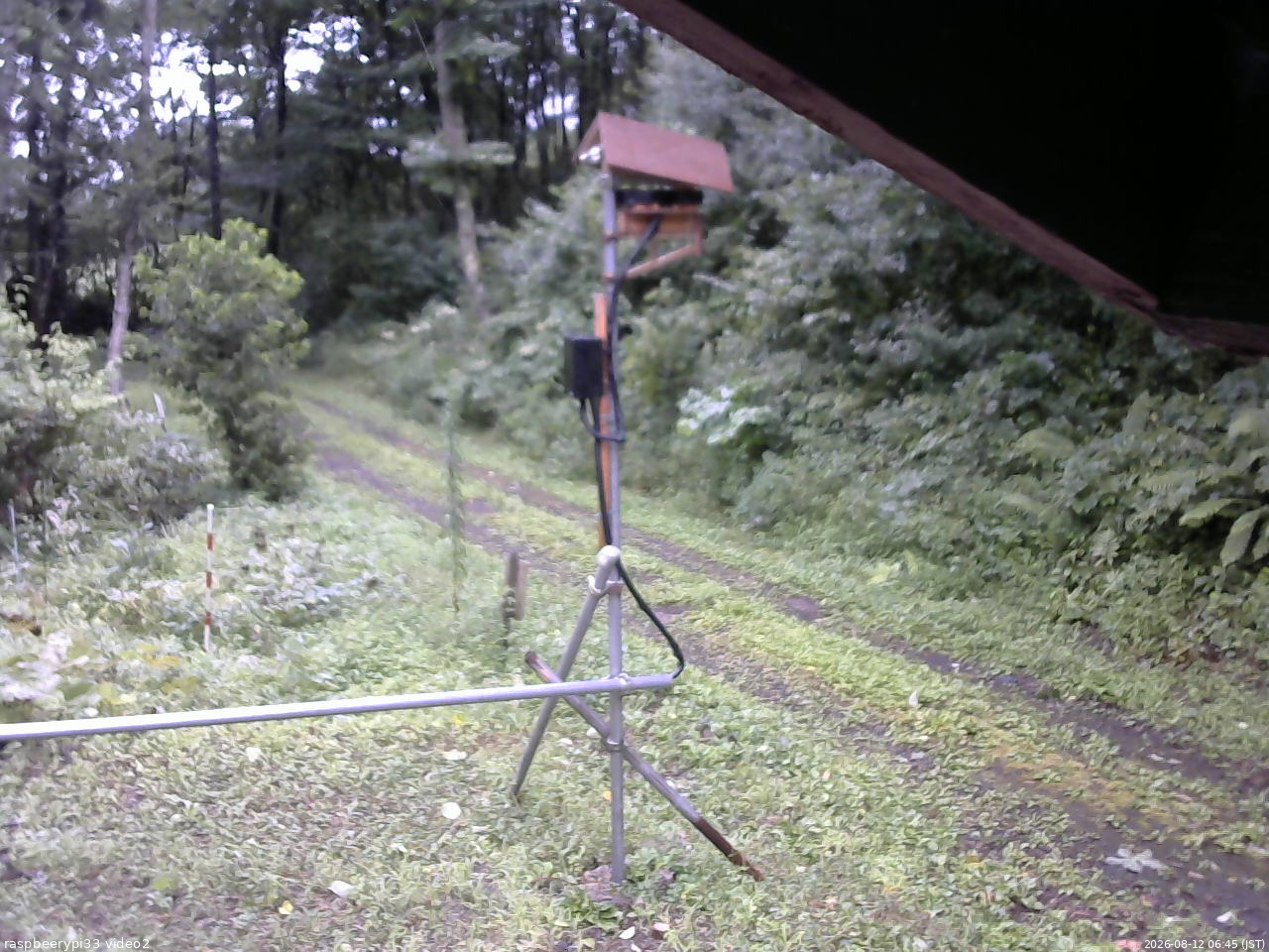 長野県菅平高原 ゆたか山荘 南側 2026/08/12 06:45