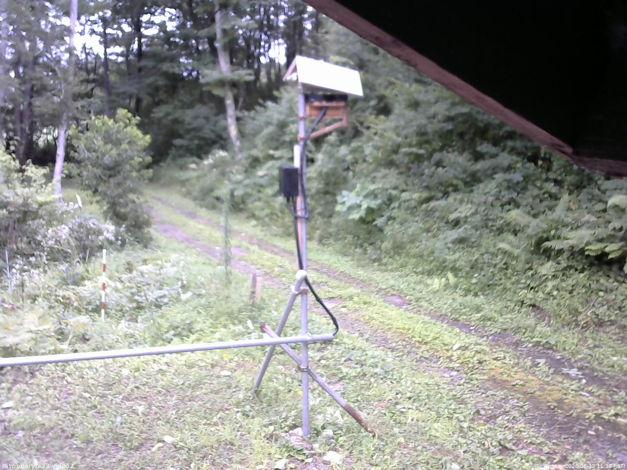 長野県菅平高原 ゆたか山荘 南側 2026/08/12 11:30