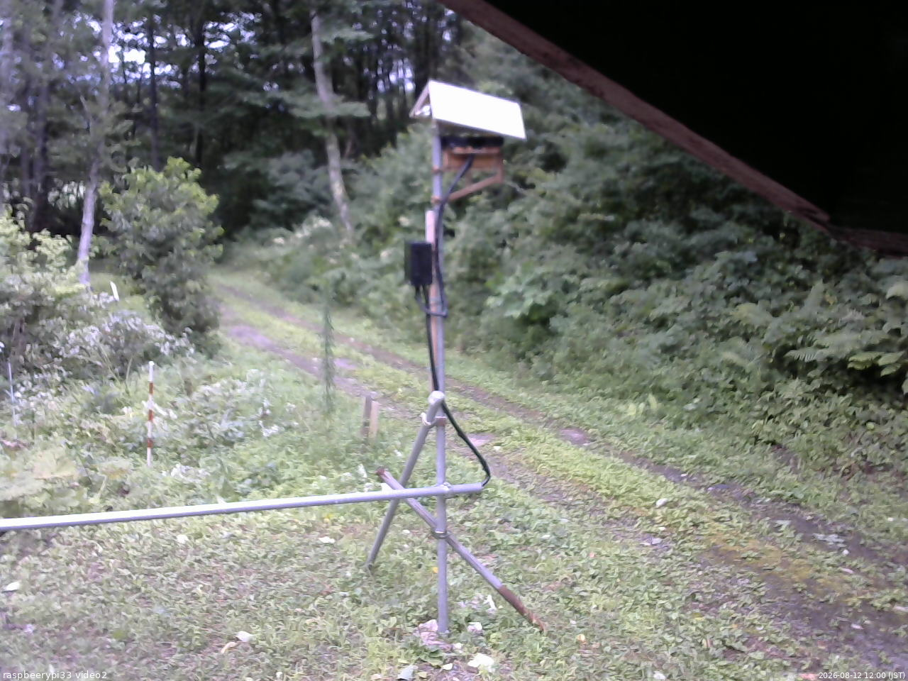長野県菅平高原 ゆたか山荘 南側 2026/08/12 12:00