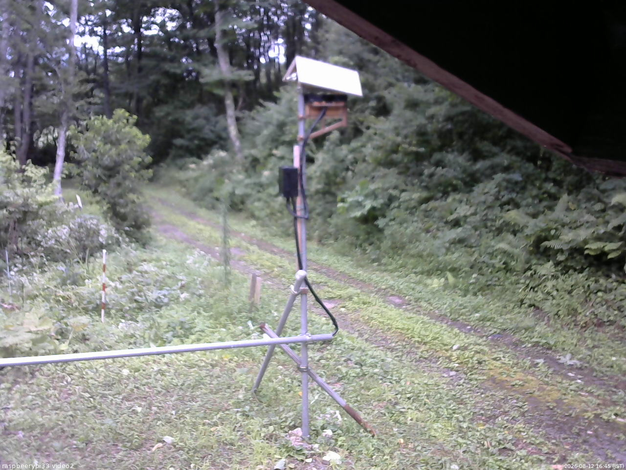 長野県菅平高原 ゆたか山荘 南側 2026/08/12 16:45