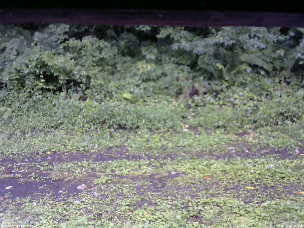 長野県菅平高原 ゆたか山荘 東側(坂下) 2026/08/12 05:30
