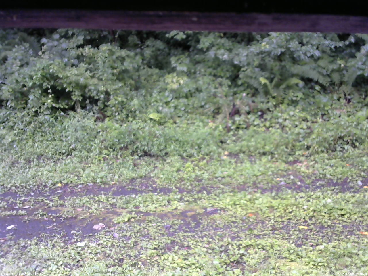 長野県菅平高原 ゆたか山荘 東側(坂下) 2026/08/12 06:15