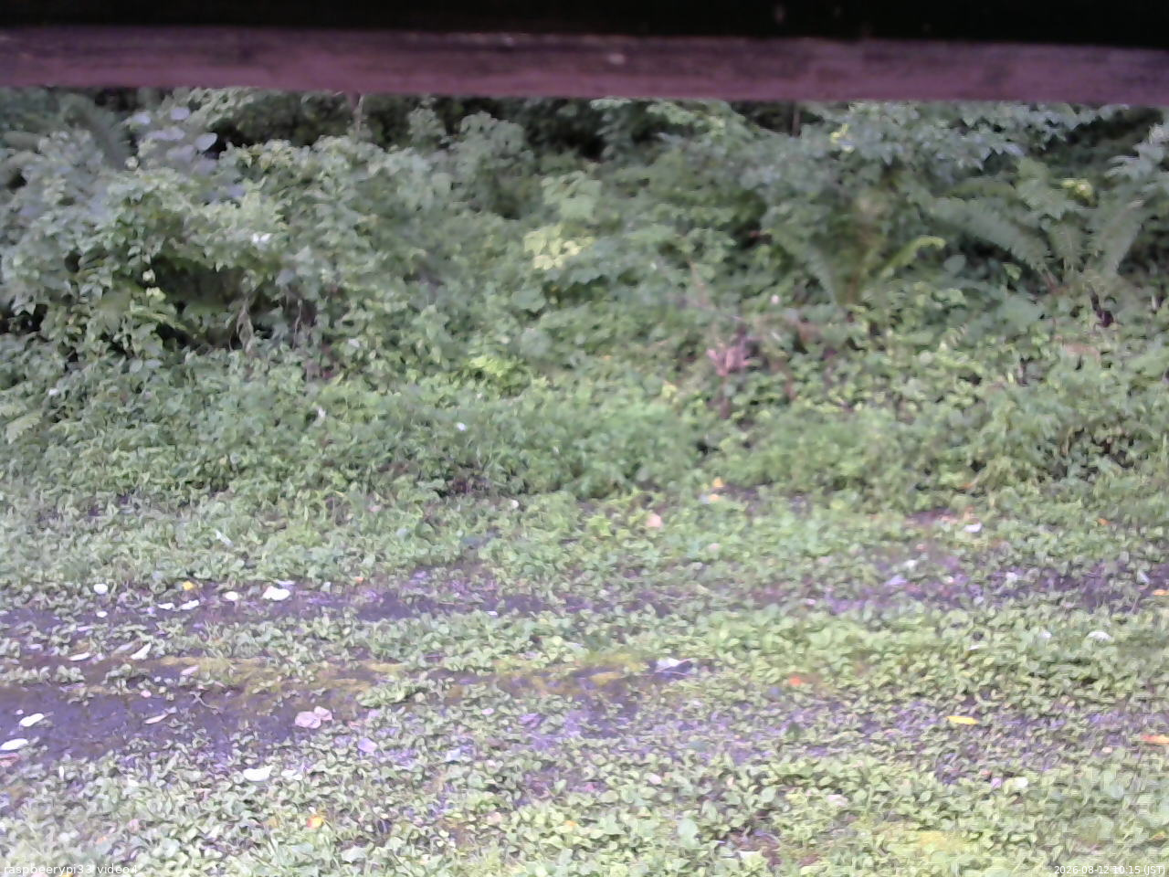 長野県菅平高原 ゆたか山荘 東側(坂下) 2026/08/12 10:15
