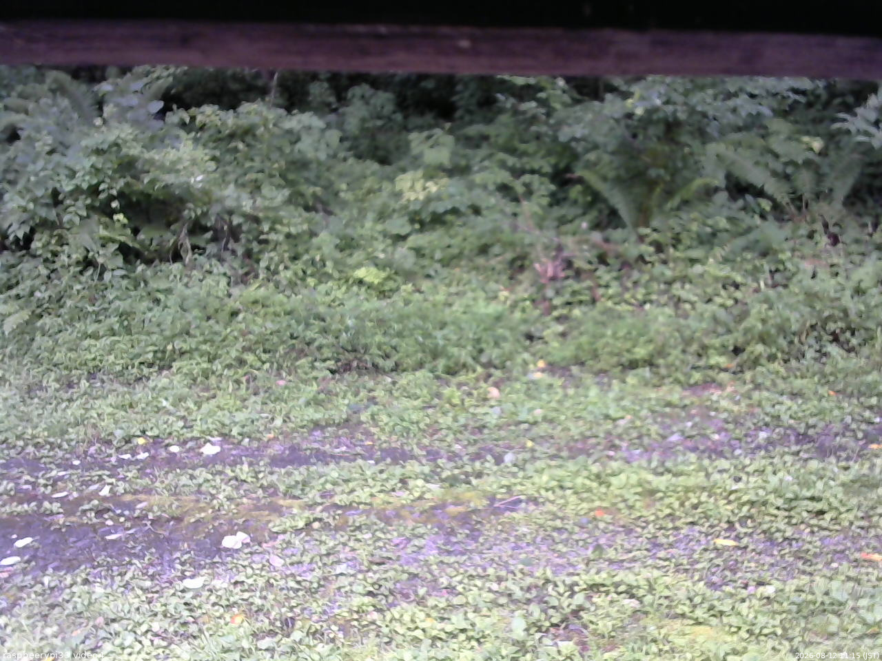 長野県菅平高原 ゆたか山荘 東側(坂下) 2026/08/12 11:15