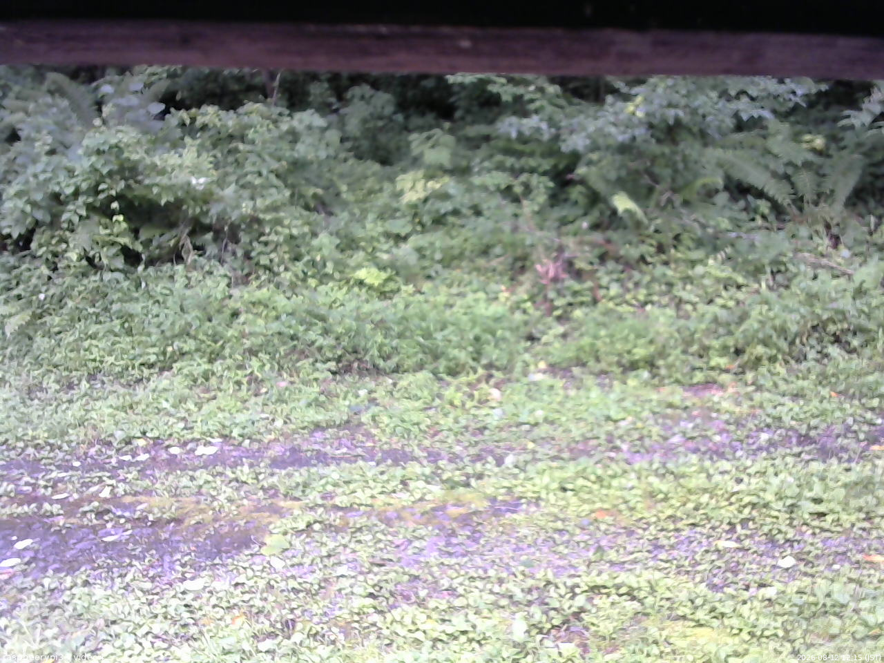 長野県菅平高原 ゆたか山荘 東側(坂下) 2026/08/12 12:15