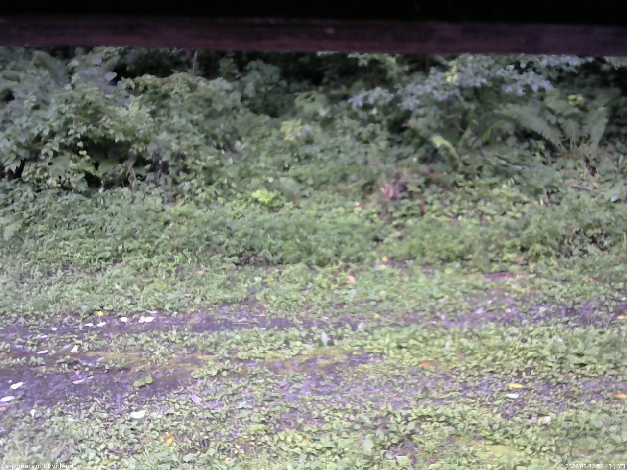 長野県菅平高原 ゆたか山荘 東側(坂下) 2026/08/12 12:45