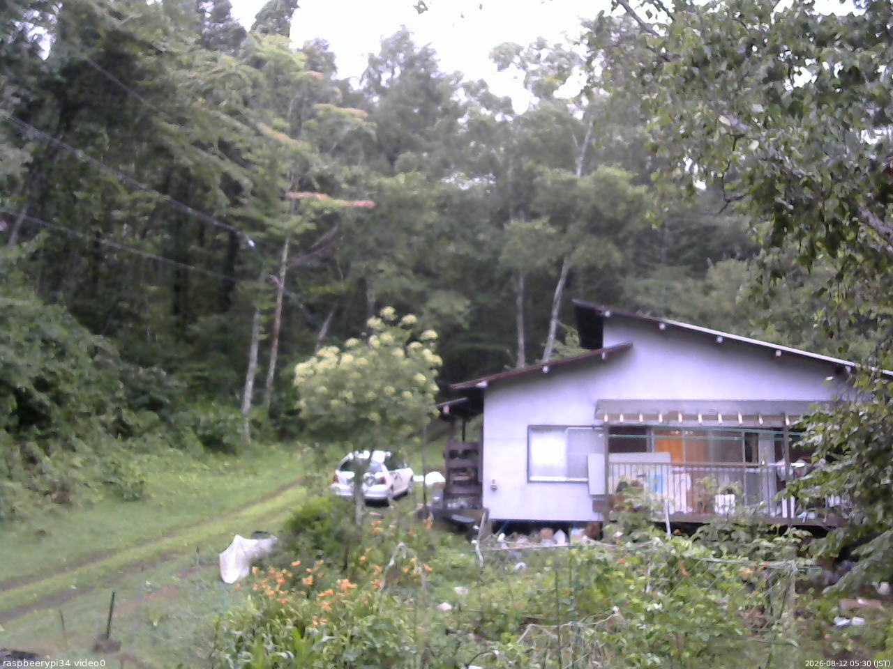 長野県菅平高原 ゆたか山荘 西側(坂上) 2026/08/12 05:30