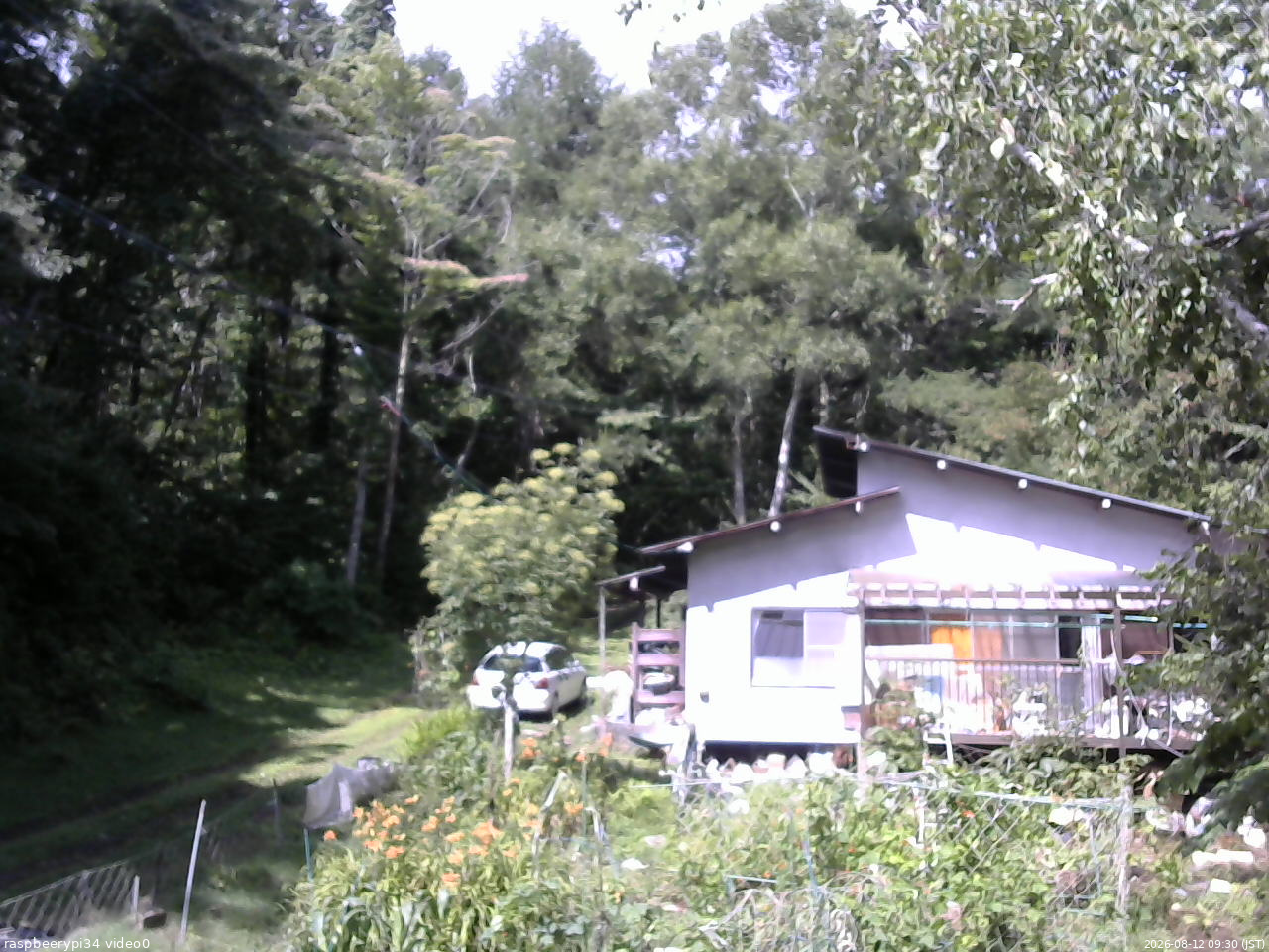 長野県菅平高原 ゆたか山荘 西側(坂上) 2026/08/12 09:30