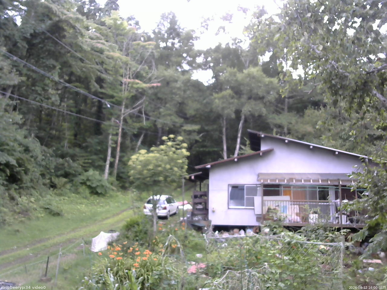 長野県菅平高原 ゆたか山荘 西側(坂上) 2026/08/12 16:00