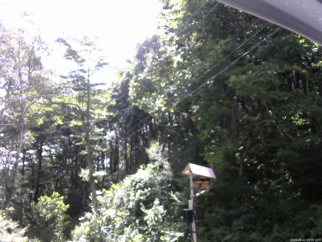 長野県菅平高原 ゆたか山荘 温度計 2026/08/12 09:30