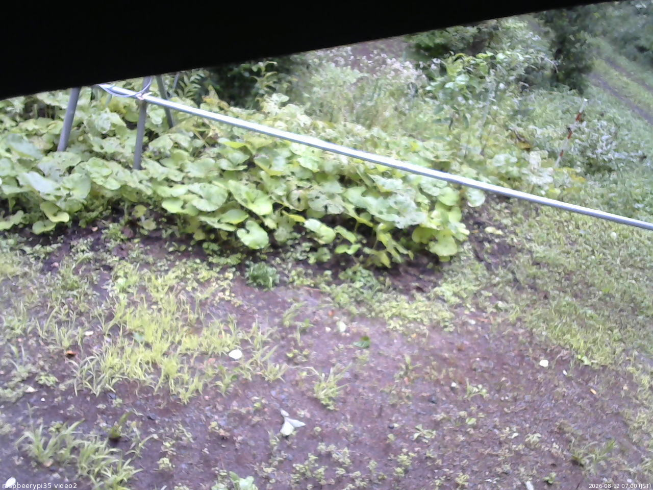 長野県菅平高原 ゆたか山荘 駐車場 2026/08/12 07:00