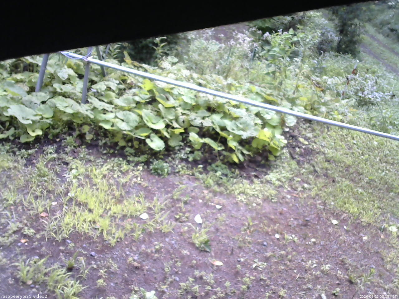 長野県菅平高原 ゆたか山荘 駐車場 2026/08/12 08:15