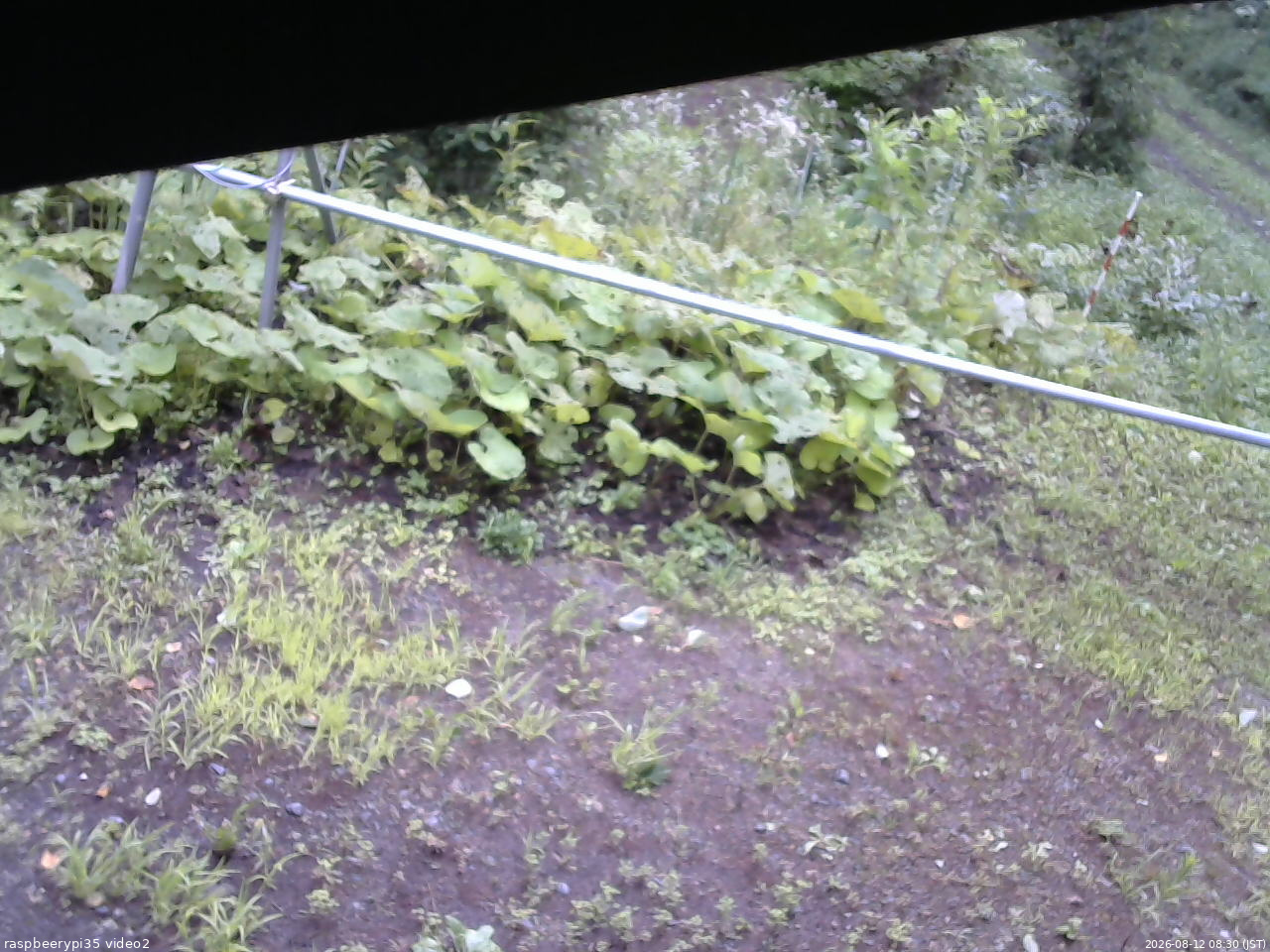 長野県菅平高原 ゆたか山荘 駐車場 2026/08/12 08:30