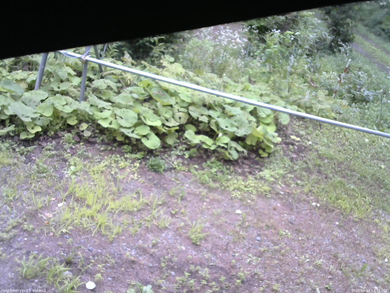 長野県菅平高原 ゆたか山荘 駐車場 2026/08/12 14:15