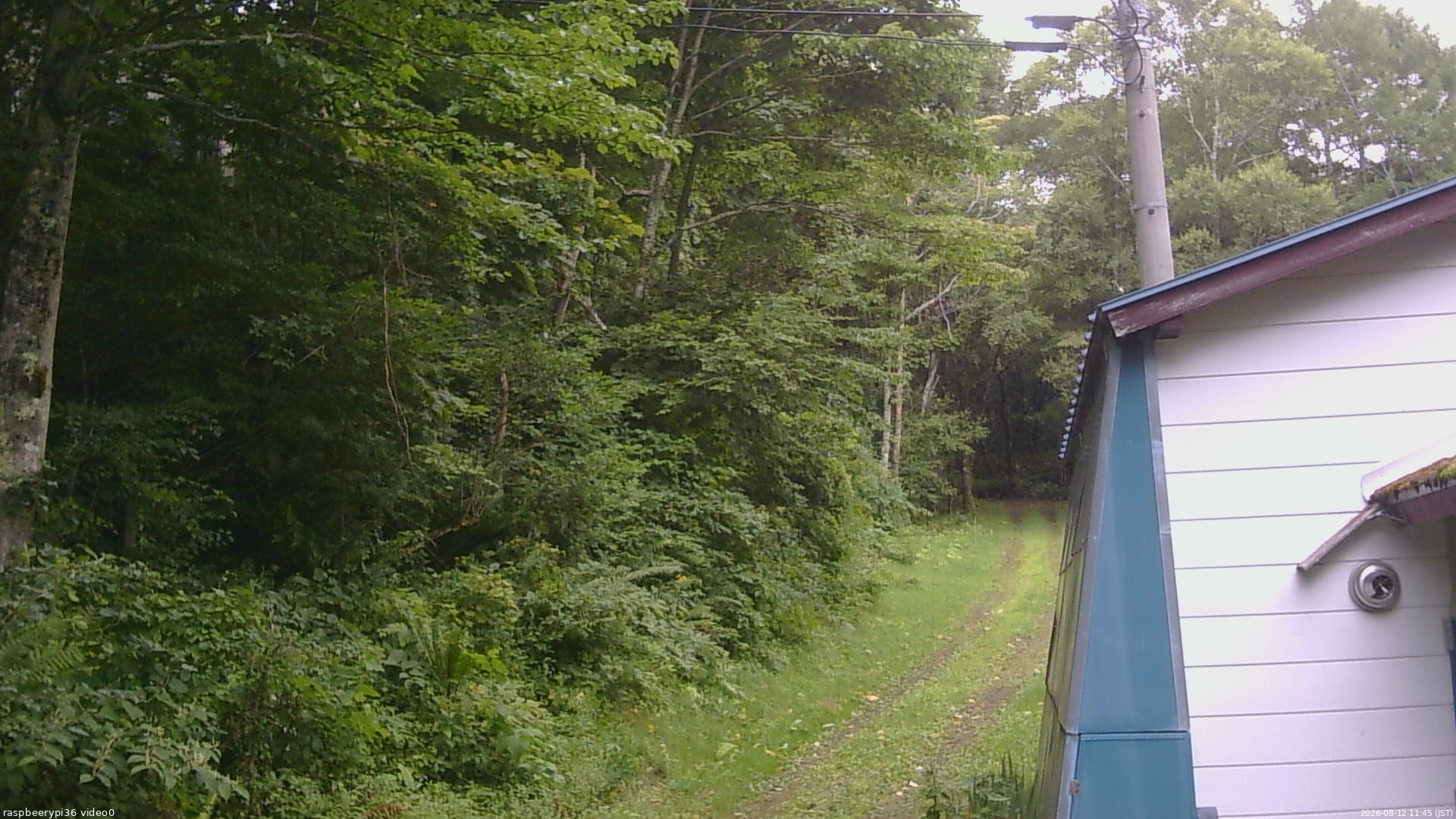 長野県菅平高原 ゆたか山荘 ゆたか山荘 2026/08/12 11:45