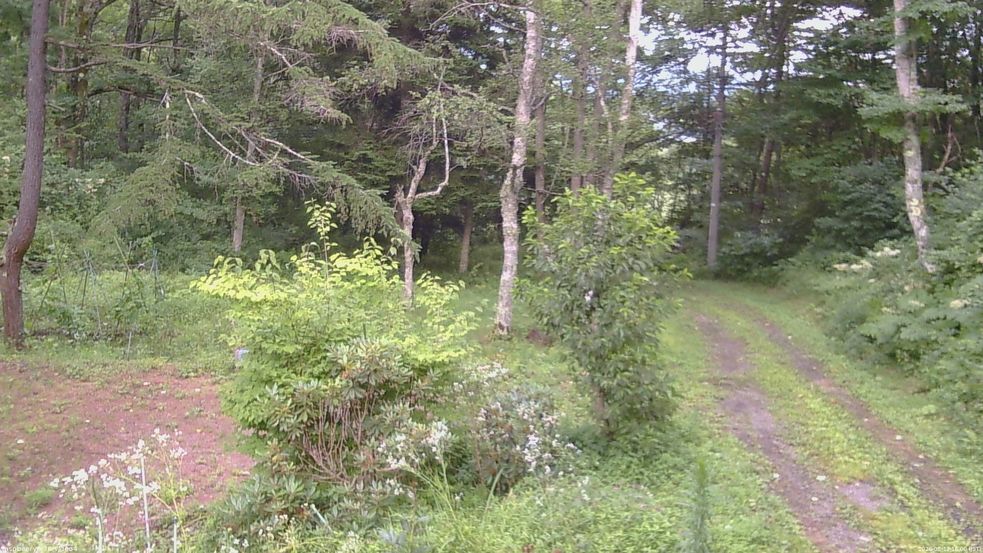長野県菅平高原 ゆたか山荘 坂上 2026/08/12 16:00