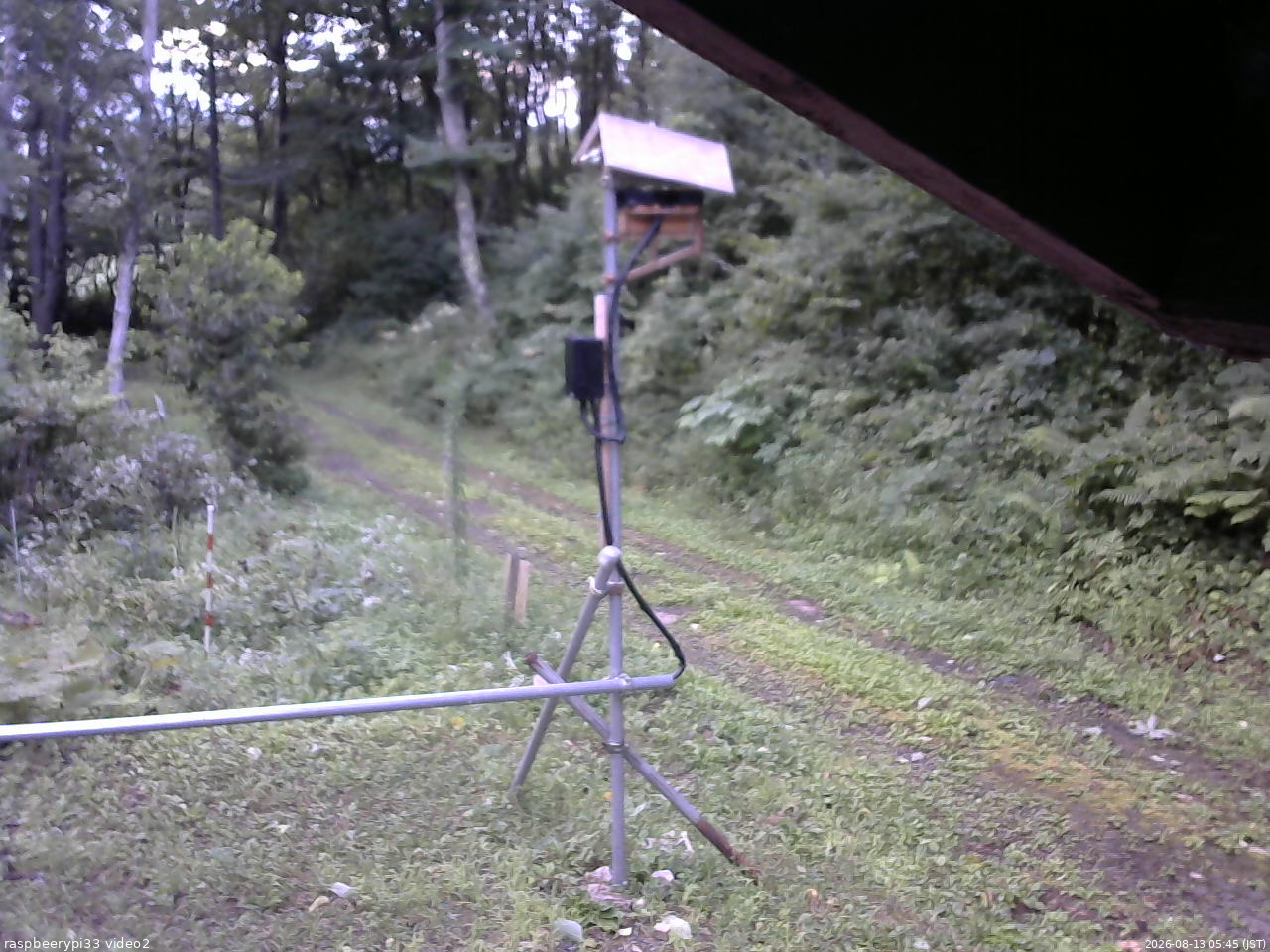 長野県菅平高原 ゆたか山荘 南側 2026/08/13 05:45