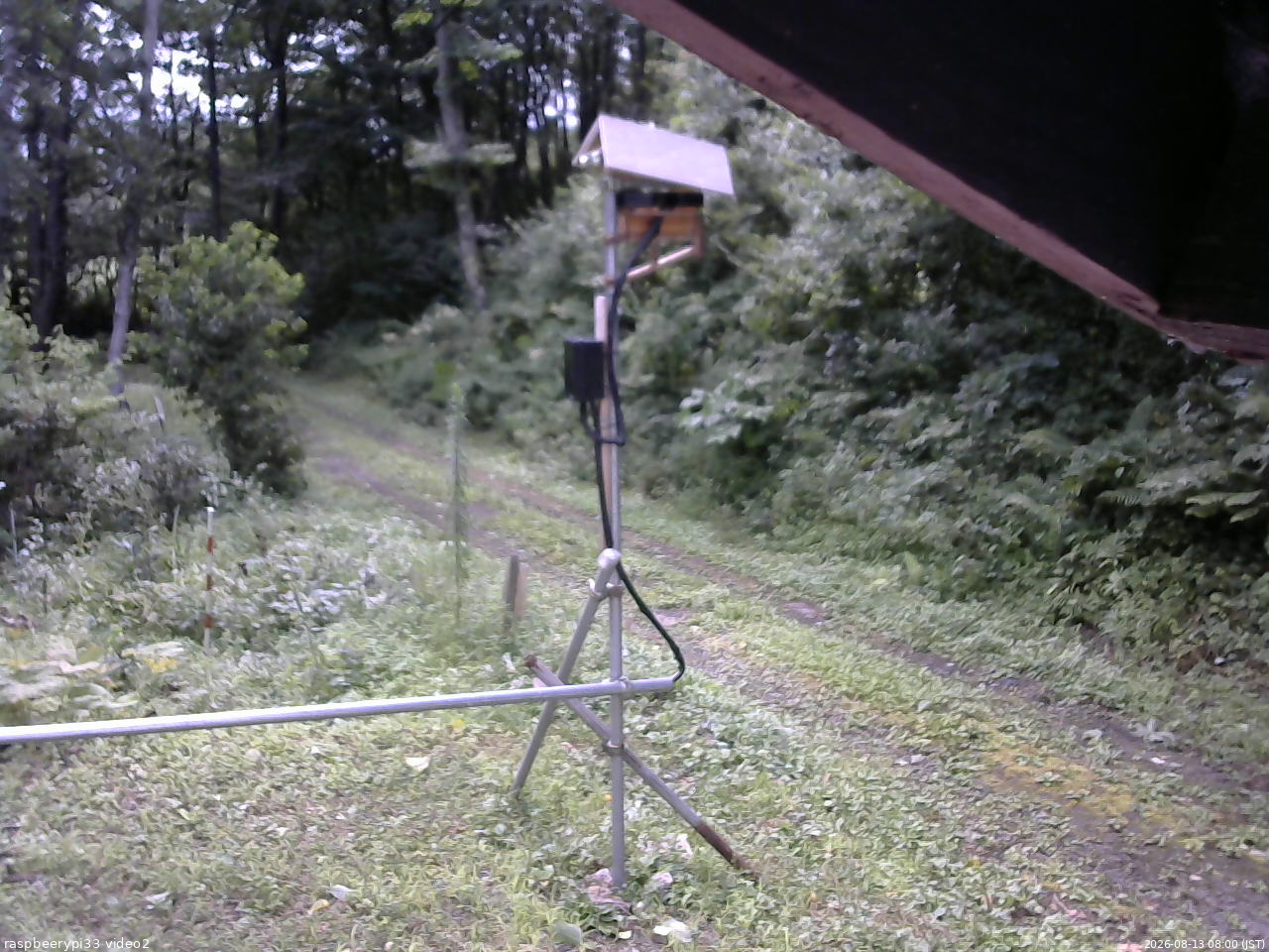 長野県菅平高原 ゆたか山荘 南側 2026/08/13 08:00