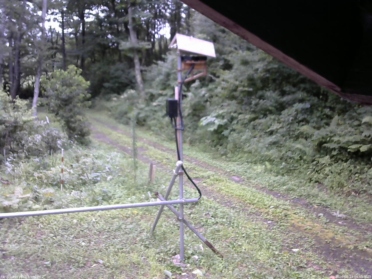 長野県菅平高原 ゆたか山荘 南側 2026/08/13 14:45