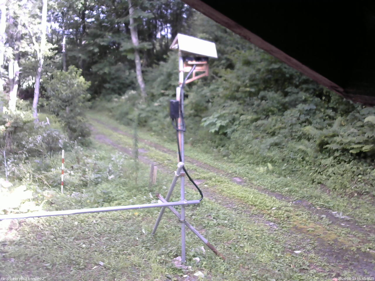 長野県菅平高原 ゆたか山荘 南側 2026/08/13 15:45