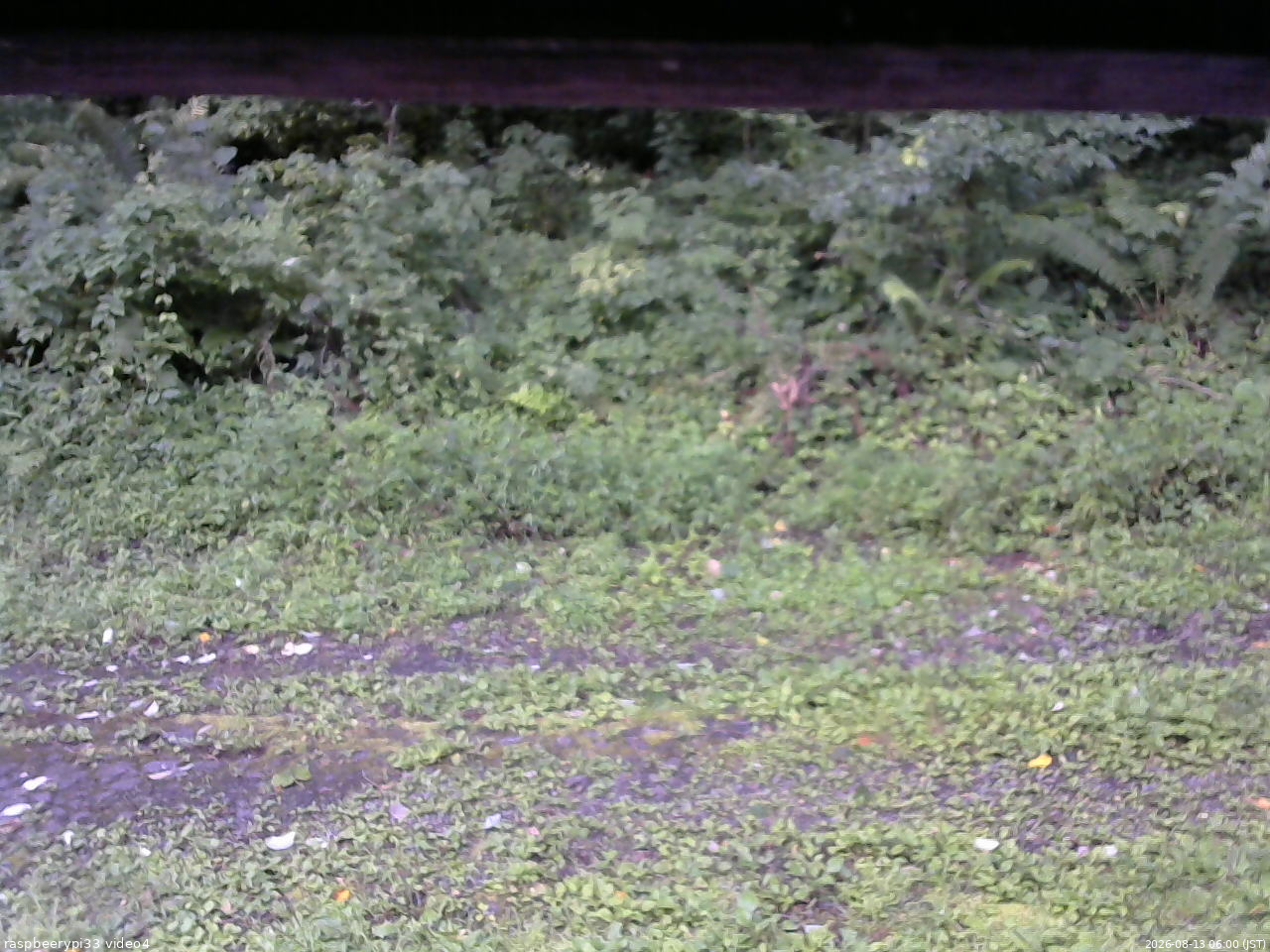 長野県菅平高原 ゆたか山荘 東側(坂下) 2026/08/13 06:00