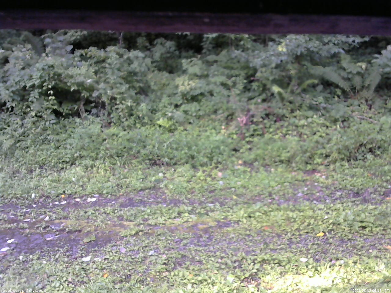 長野県菅平高原 ゆたか山荘 東側(坂下) 2026/08/13 06:15