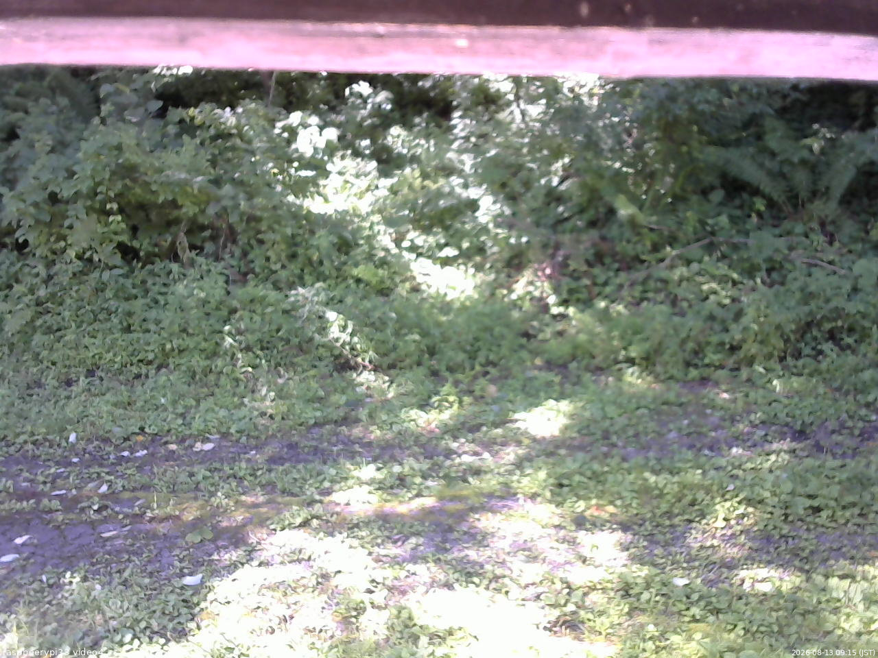 長野県菅平高原 ゆたか山荘 東側(坂下) 2026/08/13 09:15