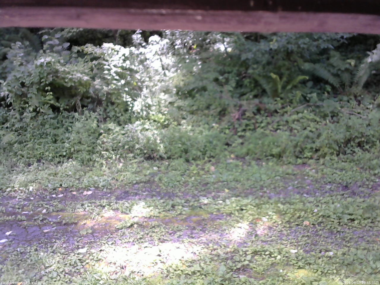 長野県菅平高原 ゆたか山荘 東側(坂下) 2026/08/13 10:45