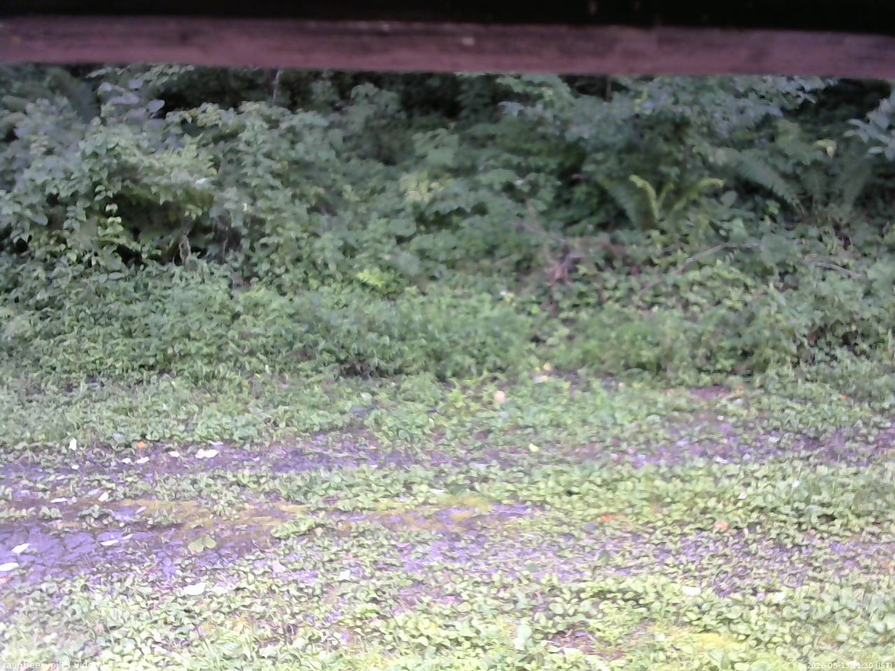 長野県菅平高原 ゆたか山荘 東側(坂下) 2026/08/13 11:30