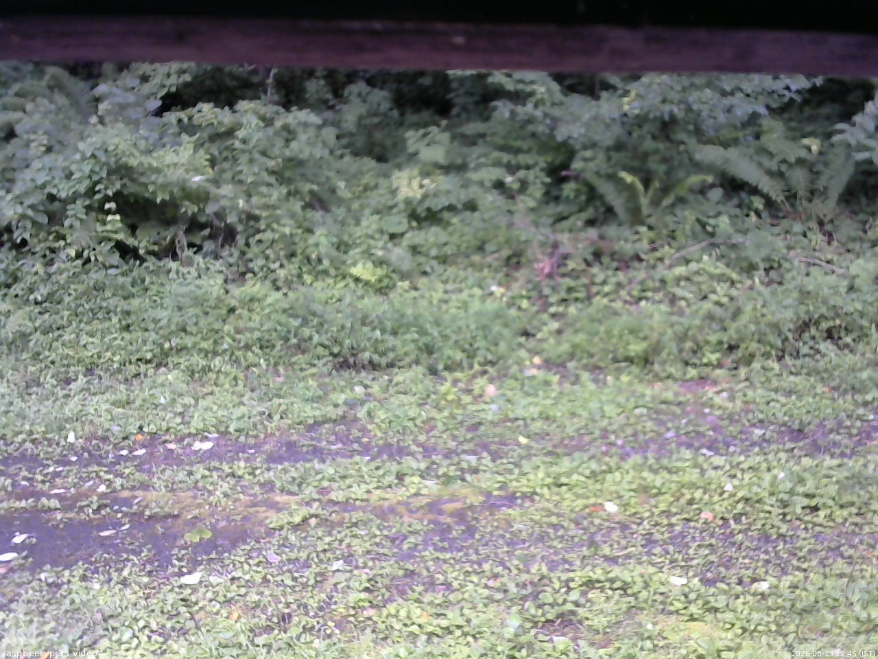 長野県菅平高原 ゆたか山荘 東側(坂下) 2026/08/13 12:45