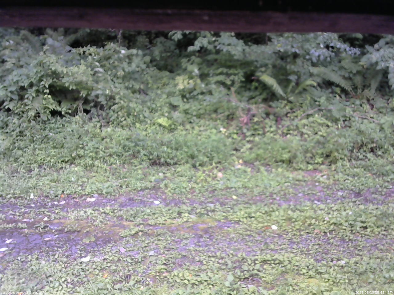 長野県菅平高原 ゆたか山荘 東側(坂下) 2026/08/13 15:45