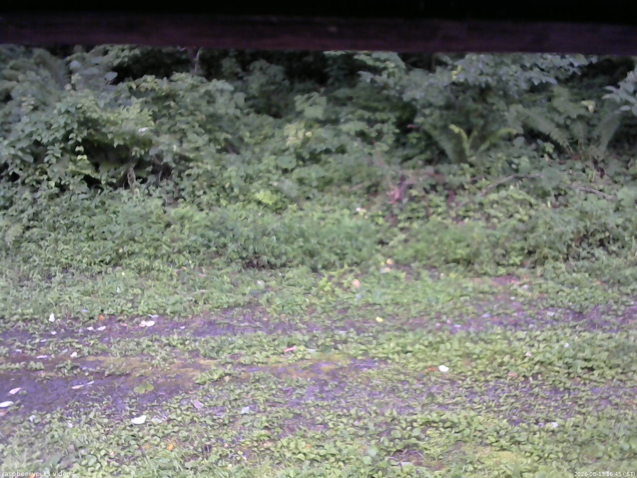 長野県菅平高原 ゆたか山荘 東側(坂下) 2026/08/13 16:45