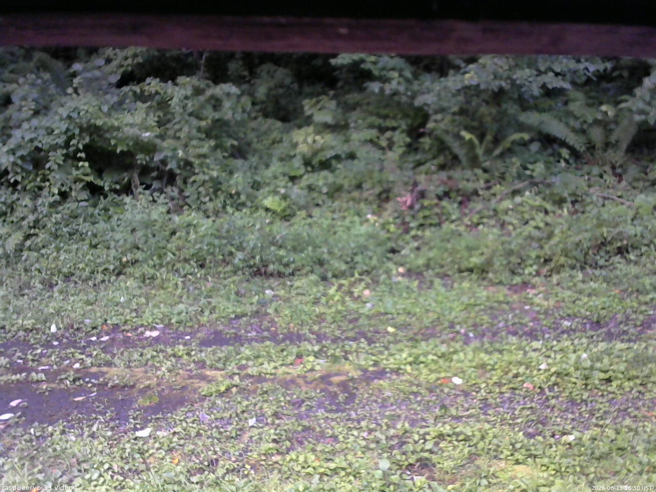 長野県菅平高原 ゆたか山荘 東側(坂下) 2026/08/13 18:30