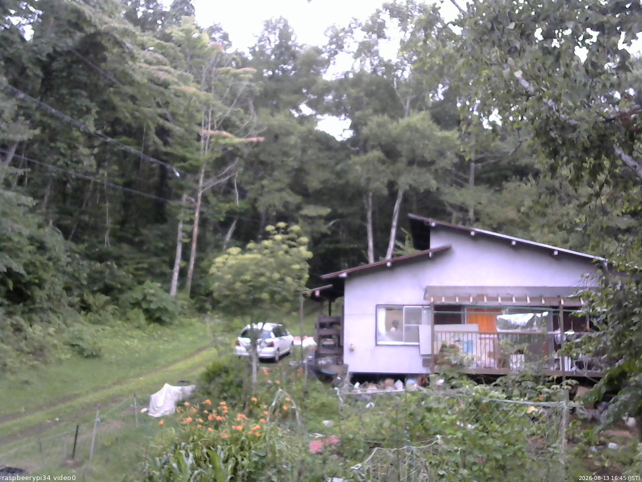 長野県菅平高原 ゆたか山荘 西側(坂上) 2026/08/13 16:45