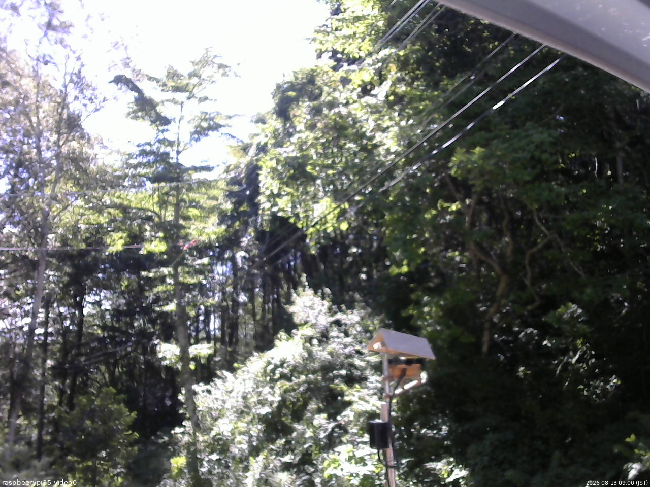 長野県菅平高原 ゆたか山荘 温度計 2026/08/13 09:00